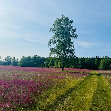 Przystanek Wies Vakantiehuis Rzasnik