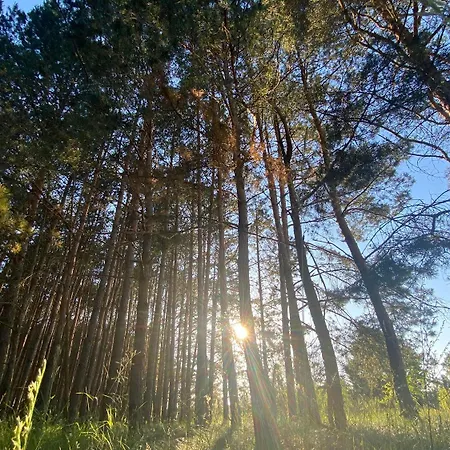 Przystanek Wies בית נופש *