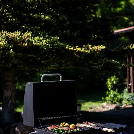 Przystanek Wies 別荘 Rzasnik