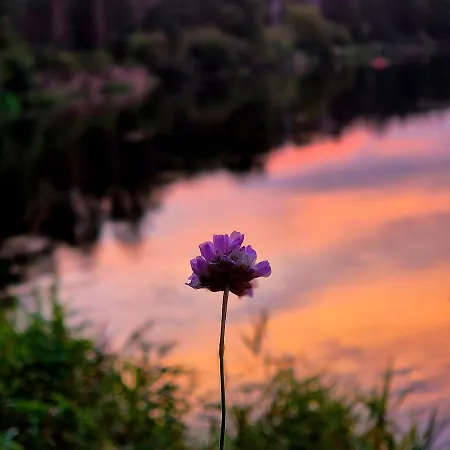 בית נופש Przystanek Wies Rzasnik