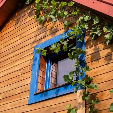 Przystanek Wies * Rzasnik